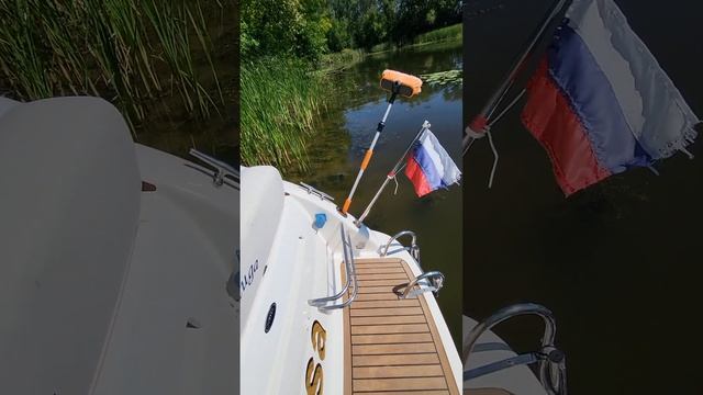 sessa oyster 25 смотреть онлайн