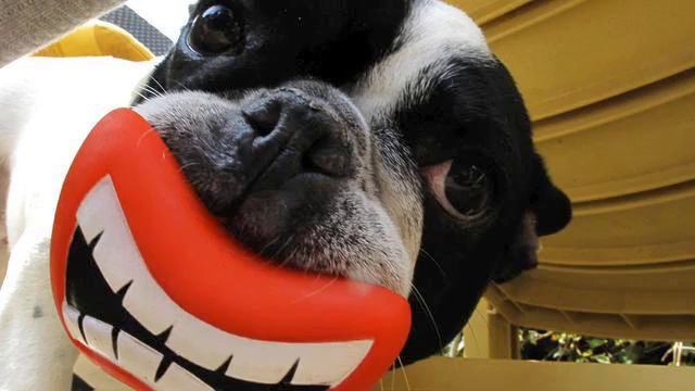 Музыка русская . Просто супер! Мурашки бегают! смотреть онлайн