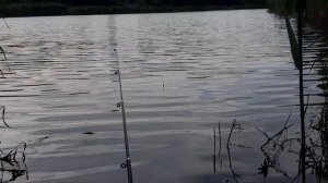 Рыбалка. город Кропоткин.Краснодарский край.