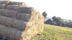 Сено в рулонах 2021, покос на минитрактора и скатывание минипресподборщиком