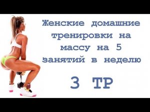 Женские домашние тренировки на массу на 5 занятий в неделю (3 тр)