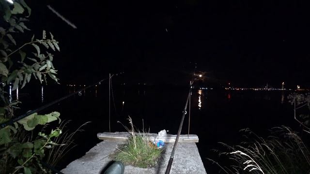 Попал на клев судака. Ночная ловля судака на хвостики.#ловлясудака