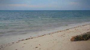 ФИЛИППИНСКИЕ ПЛЯЖИ | ОСТРОВ ПАНГЛАО | ALONA BEACH | PANGLAO BEACH | PANGLAO ISLAND | PHILIPPINES