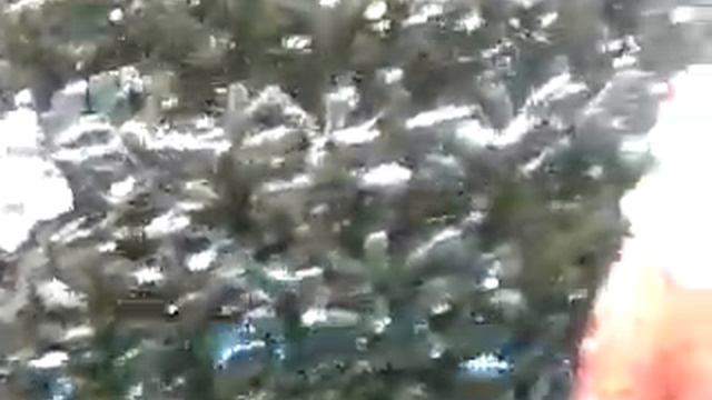 новогодний елец смотреть онлайн