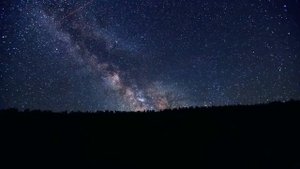 Ночной лес, сверчки, пение ночных птиц. Night forest, crickets, night birds singing.