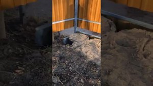 Фундамент из покрышек