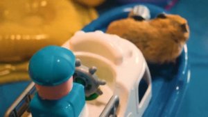 Хомяки купаются на море ? мультик про хомяков ? хомяки в воде ? челлендж для хомяков