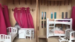 Хомяки в кукольном домике