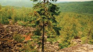 Олхинское плато: скальники Зеркала, Старая крепость, Старуха