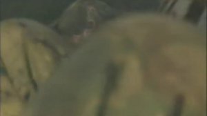 Мертвый город рождество   ДДТ