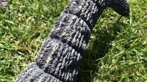 SHIN GODZILLA VS GODZILLA 1962 (Short Film)