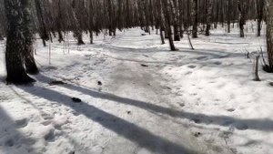 Как записывать звук через беспроводные наушники? TWS наушники пишут звук!