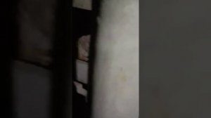 Установка парктроника. Дэу   Нэксия.