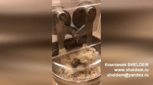 Двуручный тестомес RS12