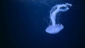 Почему нежелательно. Страшные. Мистические. Творческие  рассказы.