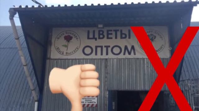 1 Сентября/Кинули В Блэк Баккара/Ошибки Любителей