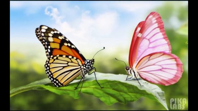 02.Пандочка Жуи и Алиса. Трансформация бабочки. Познавательный мультик, удивительные приключения. смотреть онлайн