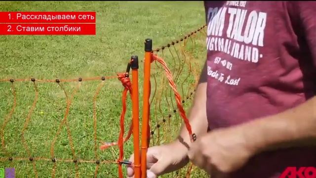 Электропастух для птиц