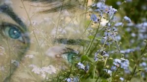 До зимы далеко! Авторская песня Г  Зеленкиной,аранж  Р  Низамова поет Г  Погорельская