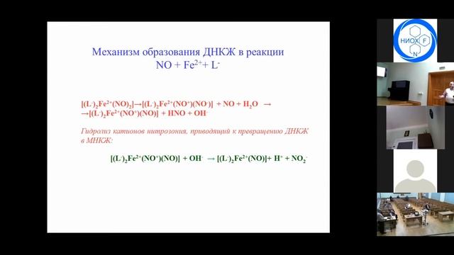 д.б.н. Ванин Анатолий Фёдорович смотреть онлайн