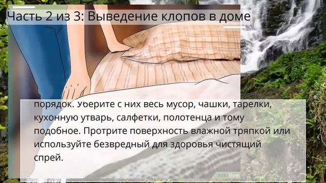 Как определить, что у вас завелись клопы