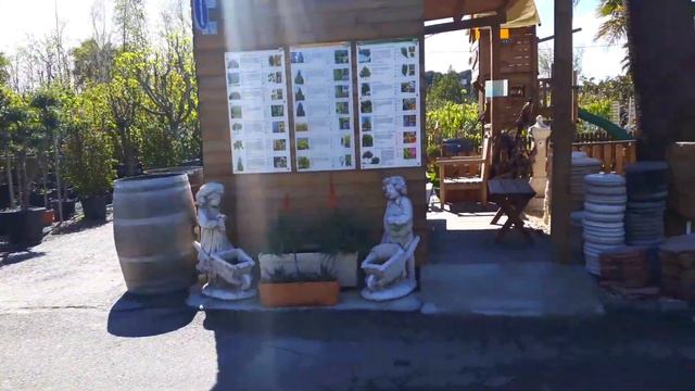 ВЛОГ Где купить Пальму или Экскурсия в САД МАГАЗИН от Nikola Kids show смотреть онлайн