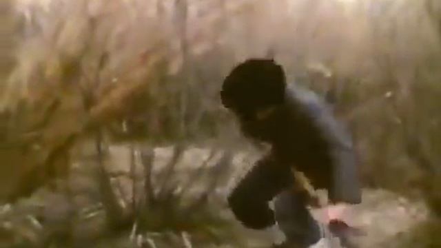 Алабай против Ягуар смотреть онлайн