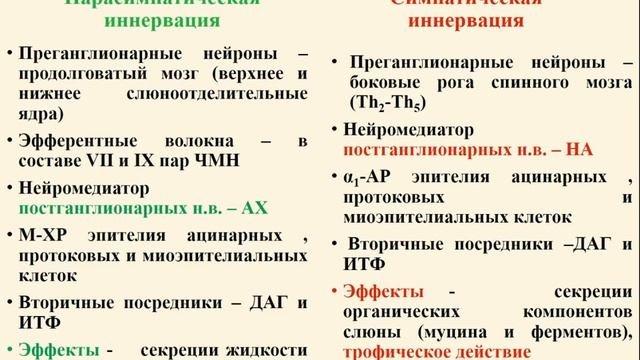 Лекция 24 (часть 1). Физиология пищеварения. Пищеварение в полости рта и желудке.