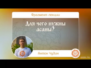 Для чего нужны асаны Антон Чудин