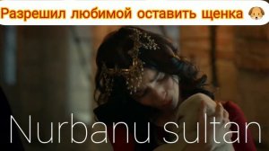 Селим разрешил Нурбану оставить щенка . великолепный век.