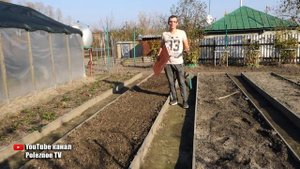 ТАК ЛЕГКО ОЗИМЫЙ ЛУК ВЫ ЕЩЁ НЕ САЖАЛИ + САМЫЕ УРОЖАЙНЫЕ СОРТА