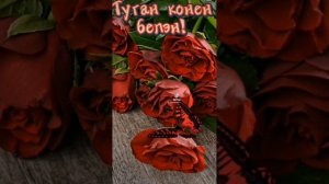 Туган конен белэн! ???