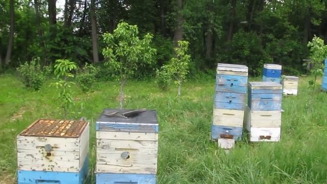 Строительная рамка в двух номинациях, 20.05.2017г. смотреть онлайн