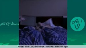 Awesome Vines NEW Lance210 Vine Compilation | Best Lance Stewart Pranks | LANCE210 All Vines 2016