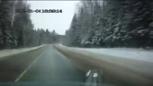 Жестокие аварии с лосями в январе