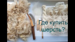 Где купить шерсть? Тексель / Анна Ткачева / Краснодарский край