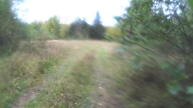 Поездка на реку Кема. #Вологодскаяобласть #Вытегорскийрайон #Вологодскийпуть