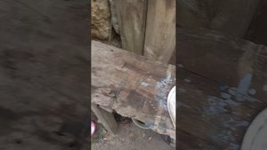 мопед альфа решение проблемы с прогоранием прокладки делаем почти вечную, вобщем колхозим.