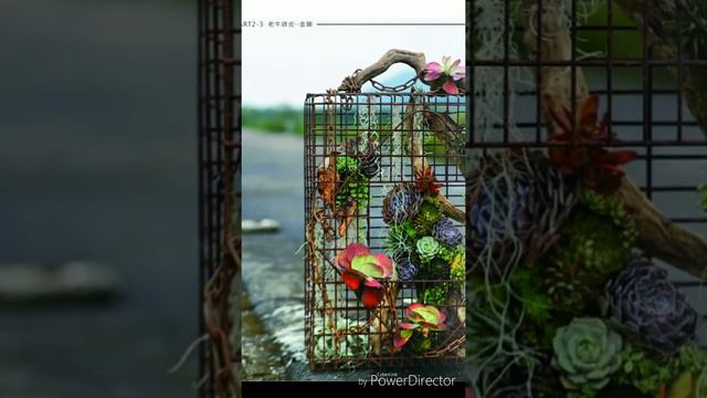 這是一本關於多肉植物如何展現獨特魅力的書，全世界有很多玩家，品種多到另一般人無法想像！“多肉綠生活有限公司”集結多肉組合界的達人們，為大家策劃設計了這本精彩豐富的內容。