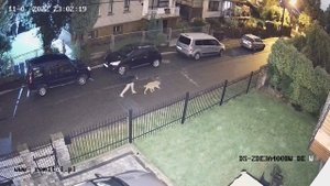 Test kamery Hikvision DS-2DE3A400BW-DE Dzień/Noc