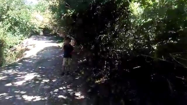 Yay üçün darıxdım .соскучились по лету смотреть онлайн