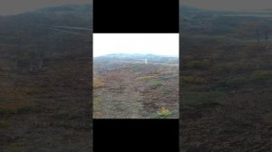 VID20221015101753.mp4