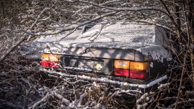 Нашли в лесу Брошенные авто