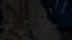 ТРЕПАЛЬНАЯ  МАШИНА для Шерсти