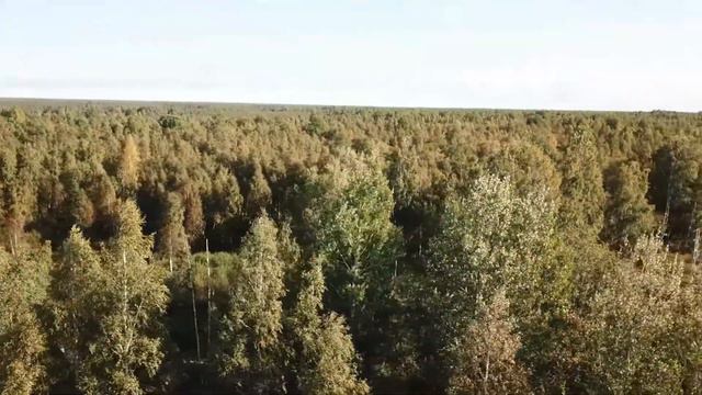 Хутор "Утешение"