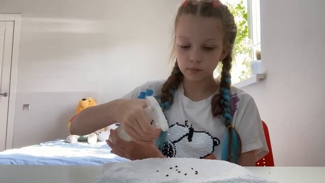 Проращивание МАРАКУЙИ в домашних условиях!