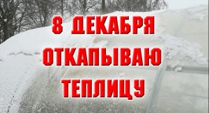 8 декабря. Откопала свою теплицу.mp4