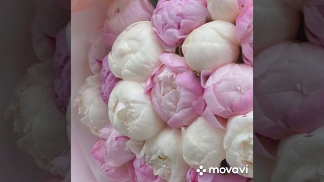 Прекрасные мгновения!