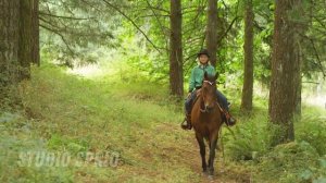 ▶️ Песня - Туман в лесу. ⏩ Слушать. Премьера. Новинка. Онлайн. STUDIO SPRIO. Песня. Музыка.