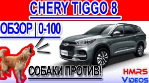 Chery Tiggo 8 Обзор, Разгон 0-100 (собаки против)